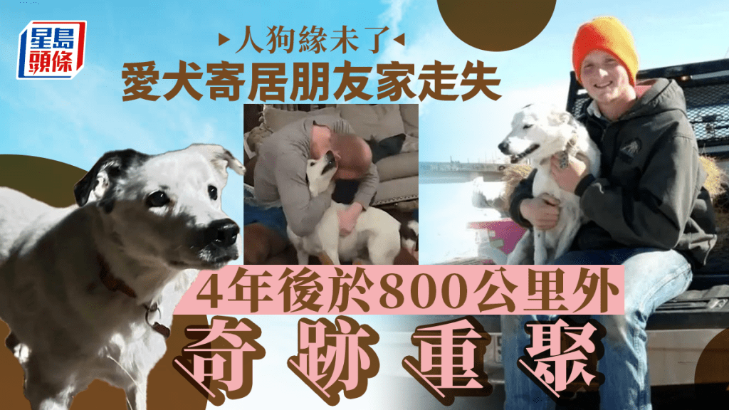 人狗緣未了 | 美狗主4年前愛犬在科州失蹤 竟於800公里外這處尋回......