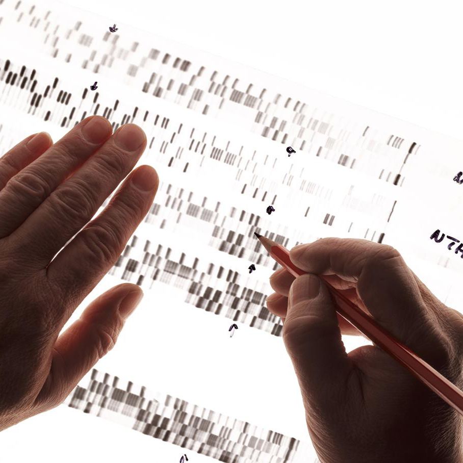 DNA鑑證是身分鑑證中最有公信力的一項。