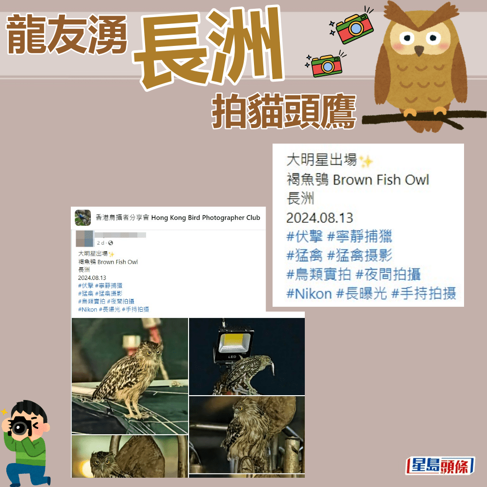 大明星出場。fb「香港鳥攝者分享會」截圖