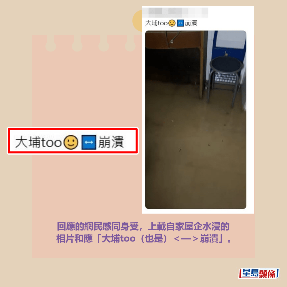回應的網民感同身受,上載自家屋企水浸的 相片和應「大埔too(也是)<—>崩潰」。Threads截圖 回應的網民感同身受,上載自家屋企水浸的 相片和應「大埔too(也是)<—>崩潰」。Threads截圖
