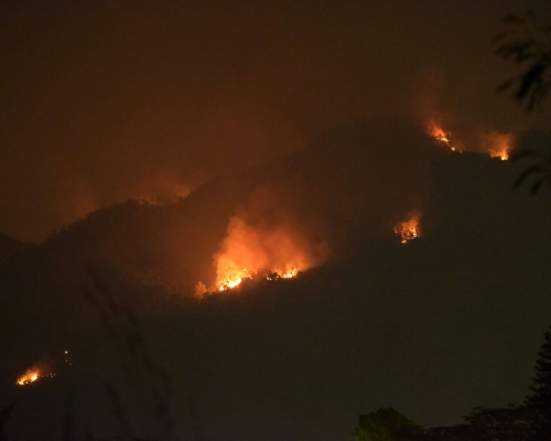 火炭黃竹洋村對開山頭發生火警，火乘風勢加上天氣乾燥，黃文威攝