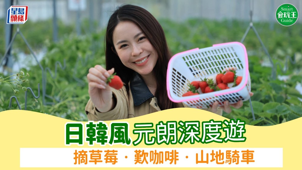 日韓風元朗深度遊 摘草莓歎咖啡山地騎車