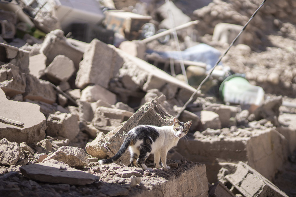 摩洛哥地震死亡人数增至1300人。美联社
