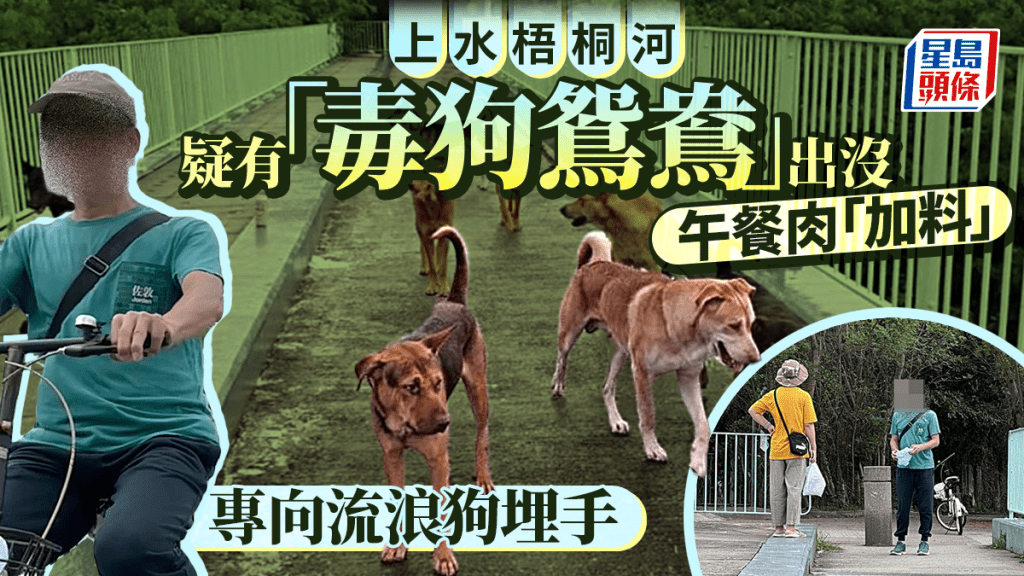 「毒狗鴛鴦」為患梧桐河？ 午餐肉「加料」棄地上  愛狗人士執走報警
