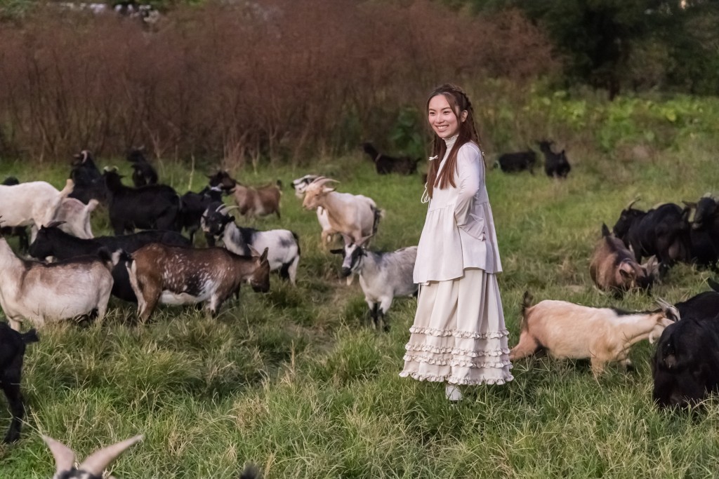 制作单位安排Natalie与过百只羊同场，场面壮观。