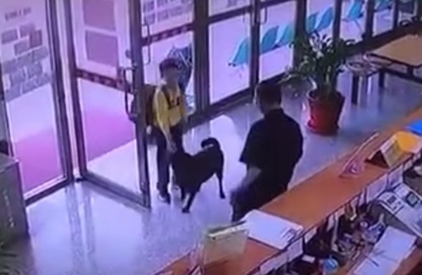 網圖