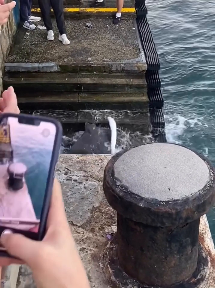 facebook截圖（資料來源：Ken Yu＠facebook筲箕灣西灣河關注組）