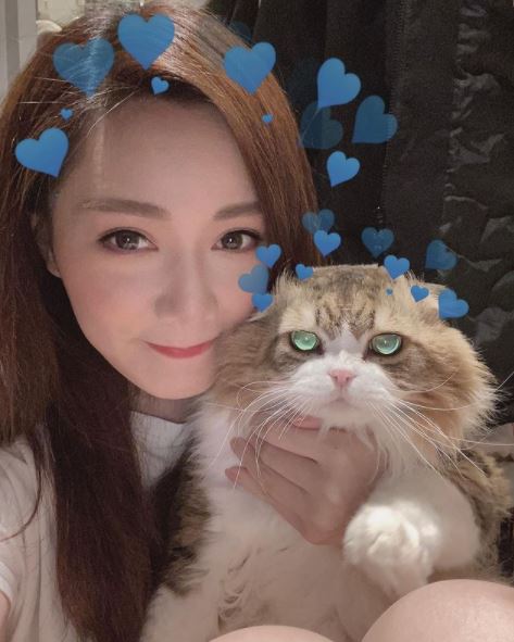 是圈中出名的愛貓之人。