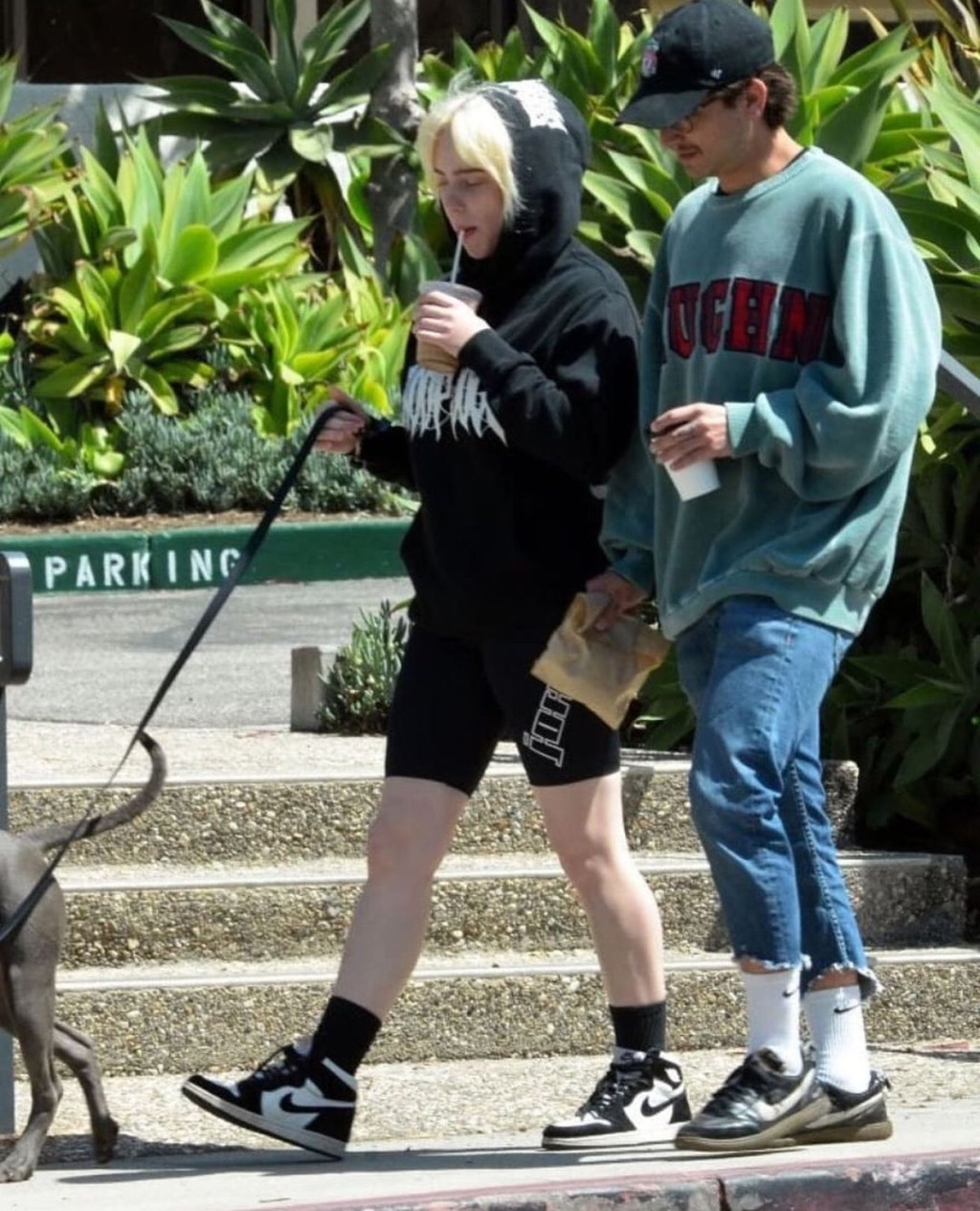 Billie Eilish同新歡一齊放狗。