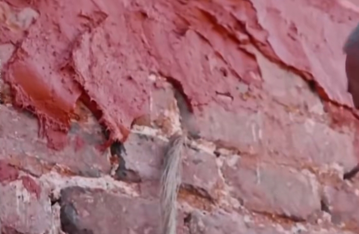 网传故宫用猪血辟邪，专家澄清是建筑智慧。 网片截图