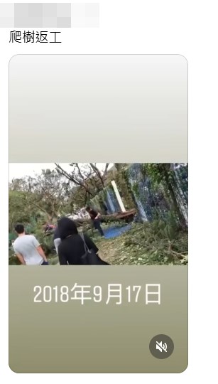 當年香港市面慘遭「山竹」蹂躪,一街塌樹,落波後打工仔「爬樹返工」的場面此起彼落。Threads截圖 當年香港市面慘遭「山竹」蹂躪,一街塌樹,落波後打工仔「爬樹返工」的場面此起彼落。Threads截圖