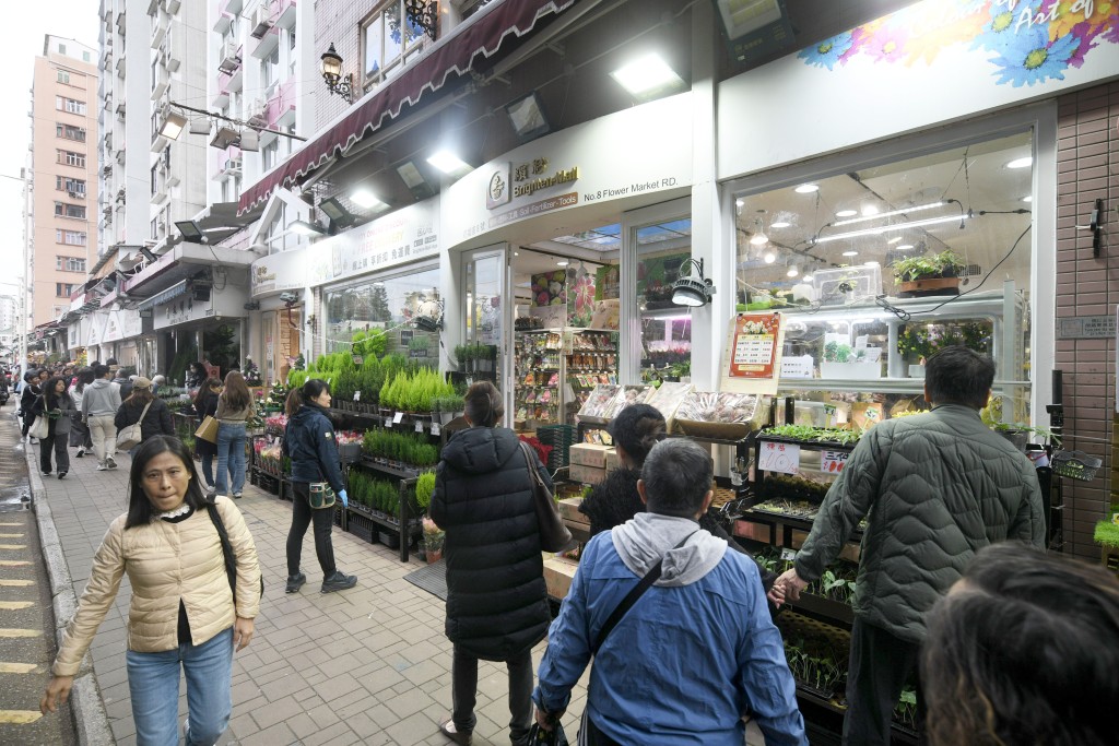 不少市民趁周末到花墟購買「聖誕紅」和鮮花。