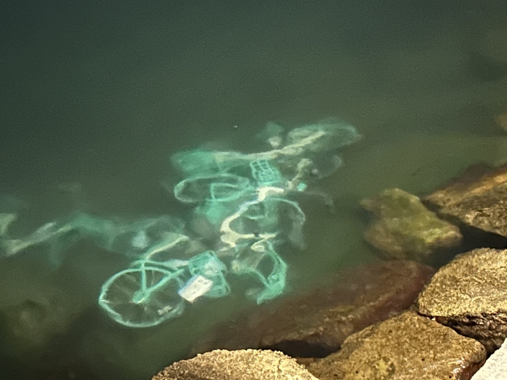 至少4輛共享單車遭人拋入海中，擱在石灘上。曾志恒攝