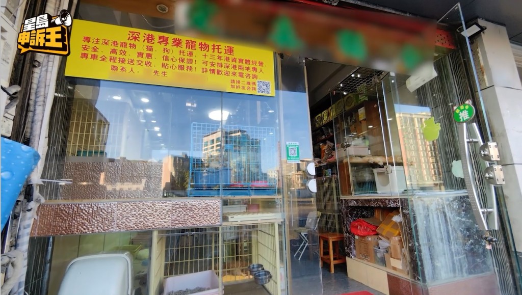 其中一間寵物店，自稱在深圳開業十多年，擁有大量香港顧客。