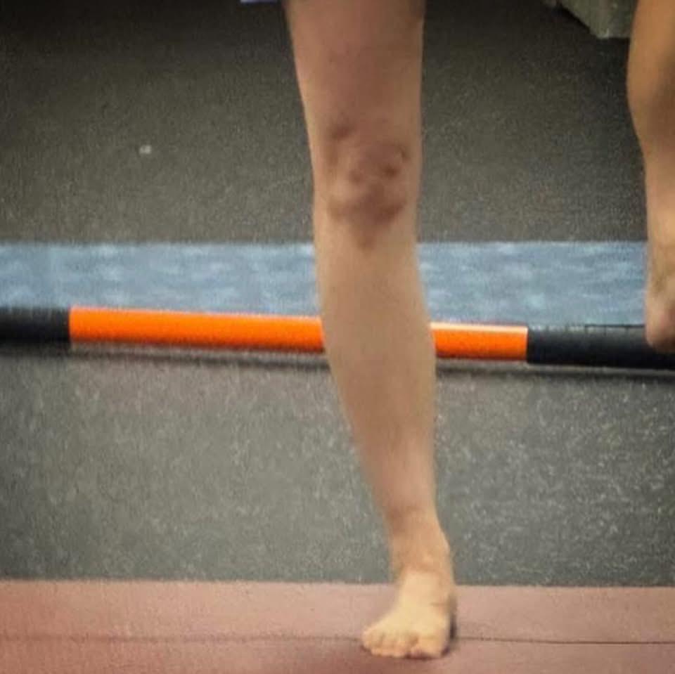 小儀日前在社交網貼上堂做運動照片，所謂何事？