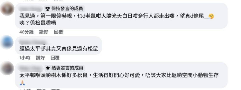 有居民指曾亲眼见过，真系被松鼠吓亲。网图