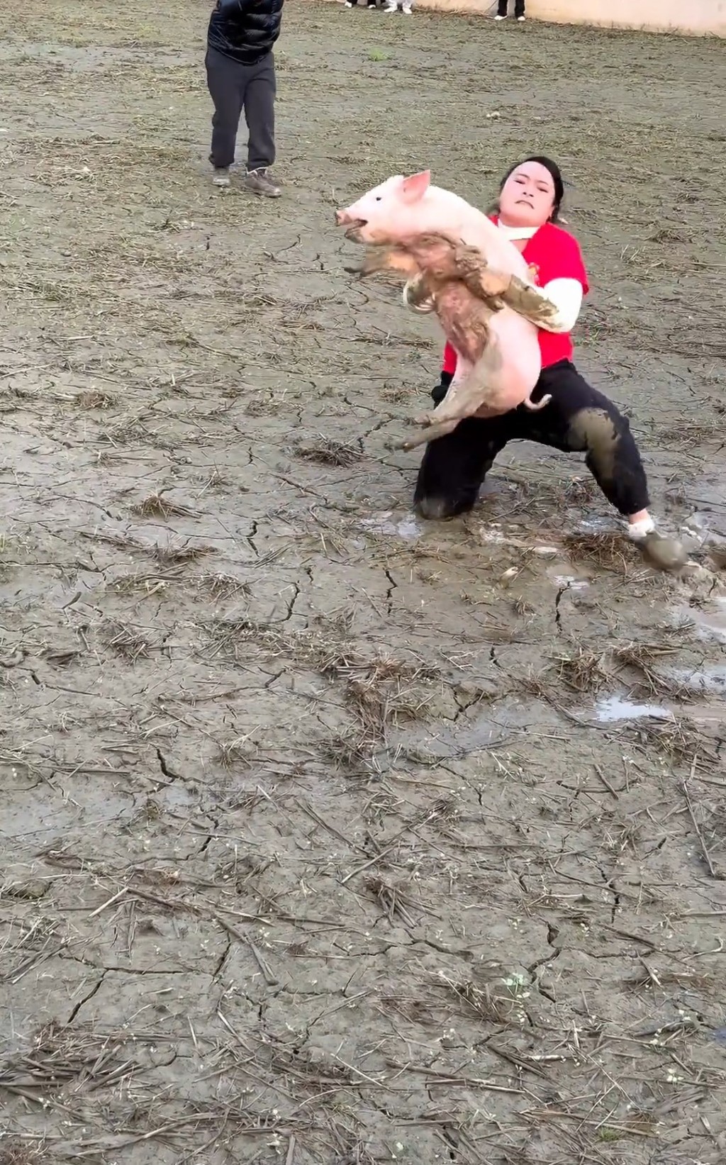 文鳳琴因頻頻抓豬成功而成為網紅。微博@《中國婦女報》 文鳳琴因頻頻抓豬成功而成為網紅。微博@《中國婦女報》