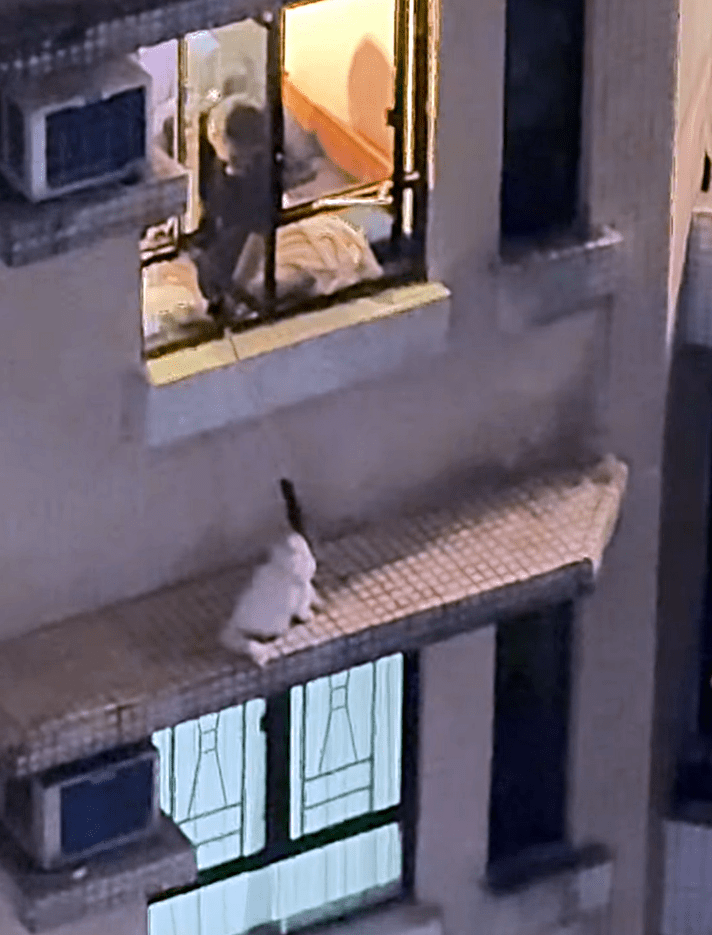 愛協人員用套索將寶寶救回。fb：Kelvin Kwong 