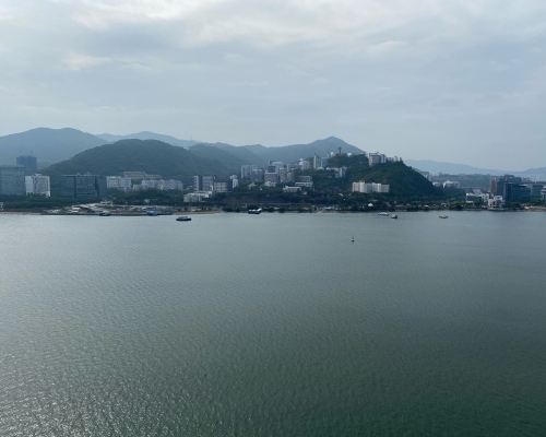頂層連天台特色單位，外望無遮擋吐露港景。