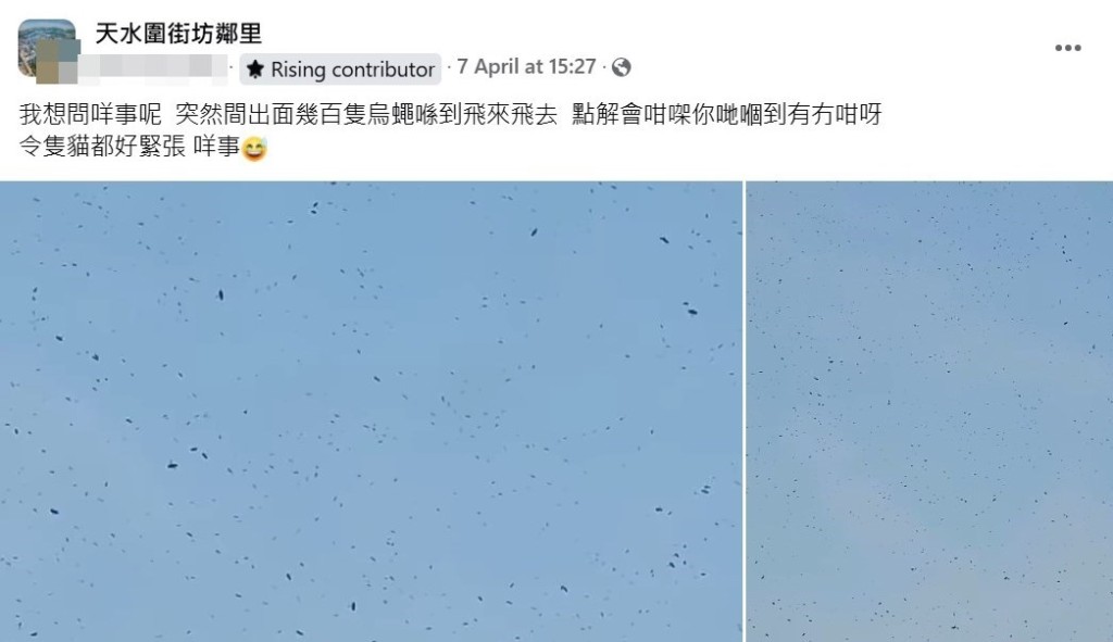 樓主帖文。fb「天水圍街坊鄰里」截圖 樓主帖文。fb「天水圍街坊鄰里」截圖 