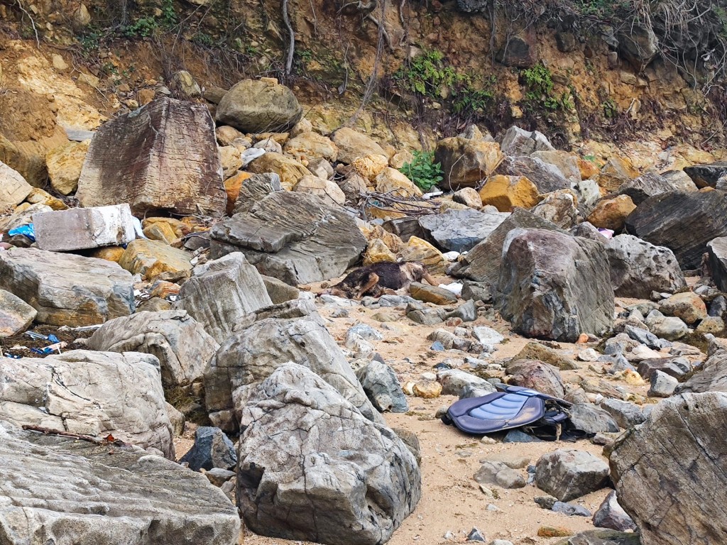 相思灣海灘的石灘位置發現狗隻屍體。梁國峰攝