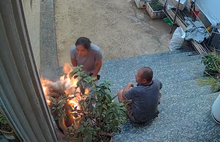 妇人在丈夫面前点燃其种植多年的“九尾狐”，火势一发不可收拾。