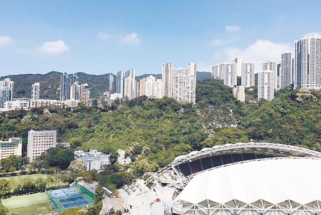 景觀為放盤賣點之一，望香港大球場及南華會大草地景觀，視野開揚。