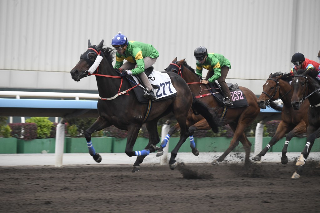 蘇啟聲以行動力撐練者，羅富全當然希望能在2026年首個賽馬日為蘇啟聲建功，以「天天更好」(圖) 盡力爭取佳績。