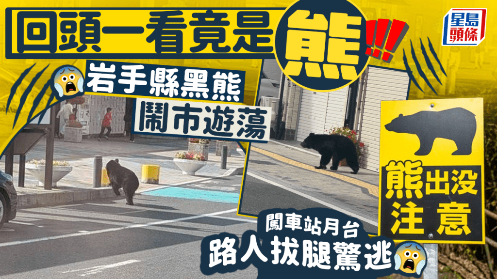 黑熊在大街過馬路，直闖火車站。