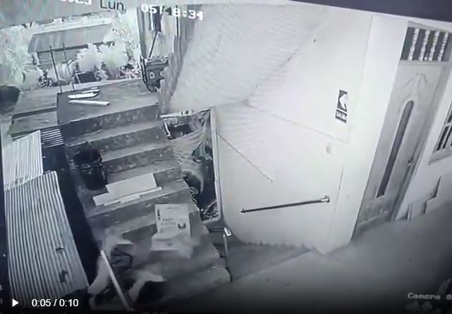 秘魯有女子擁抱男友時，衝力過猛，齊齊跌落街致1死1重傷。X