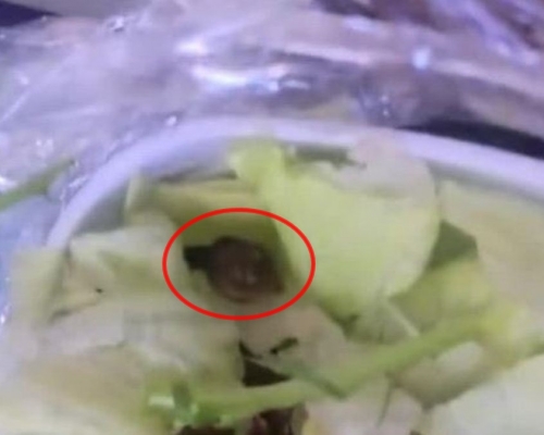 杨女在东方航空飞机餐的沙律中发现一只正在爬行的活蜗牛。 网图