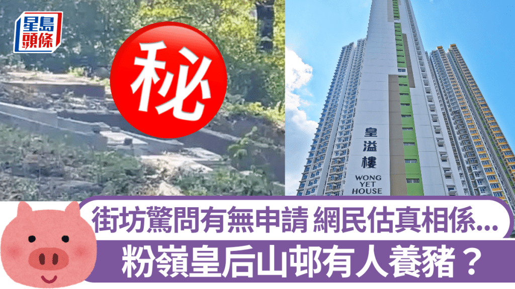 粉嶺皇后山邨有人養豬? 街坊驚問有無申請 網民猜測真相係......
