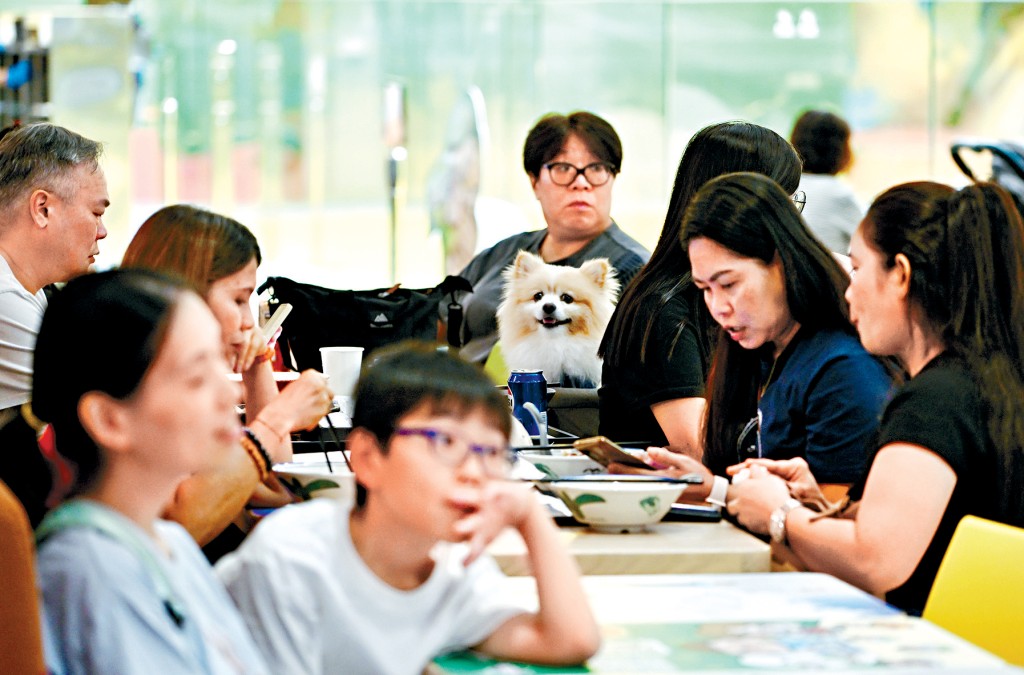 《施政報告》宣布，將推出容許狗隻進入的食肆牌照。