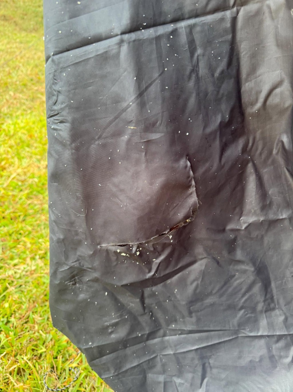 Threads截圖(資料來源:szewai_li@Threads) Threads截圖(資料來源:szewai_li@Threads)