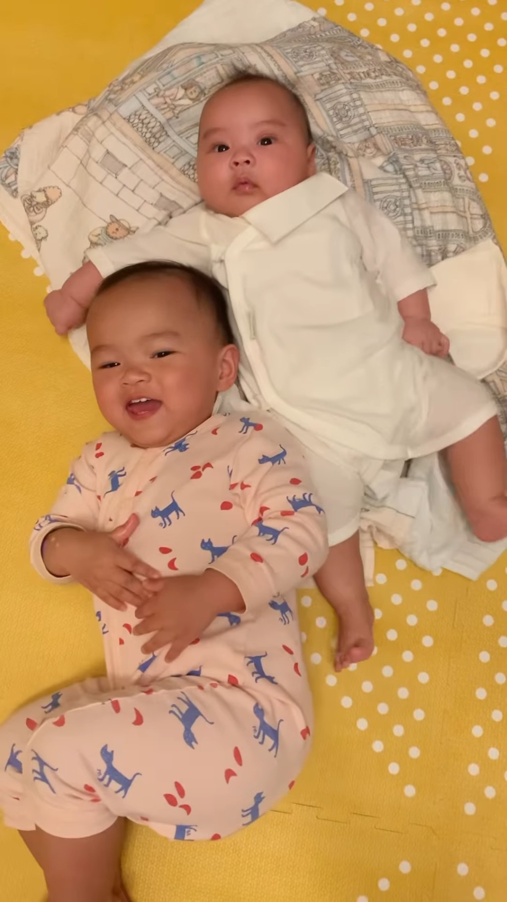 朱慧敏的一對仔女萌爆,深得網民歡心。 朱慧敏的一對仔女萌爆,深得網民歡心。