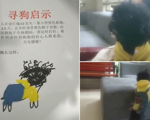 網圖。