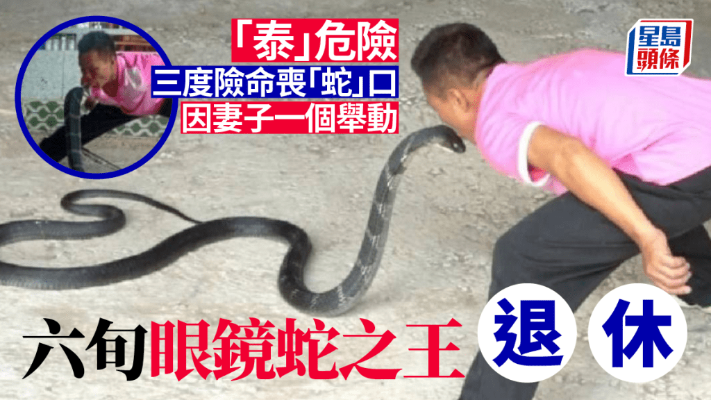 62歲柴布迪表演吻眼鏡蛇。 (翻攝自Thaiger)