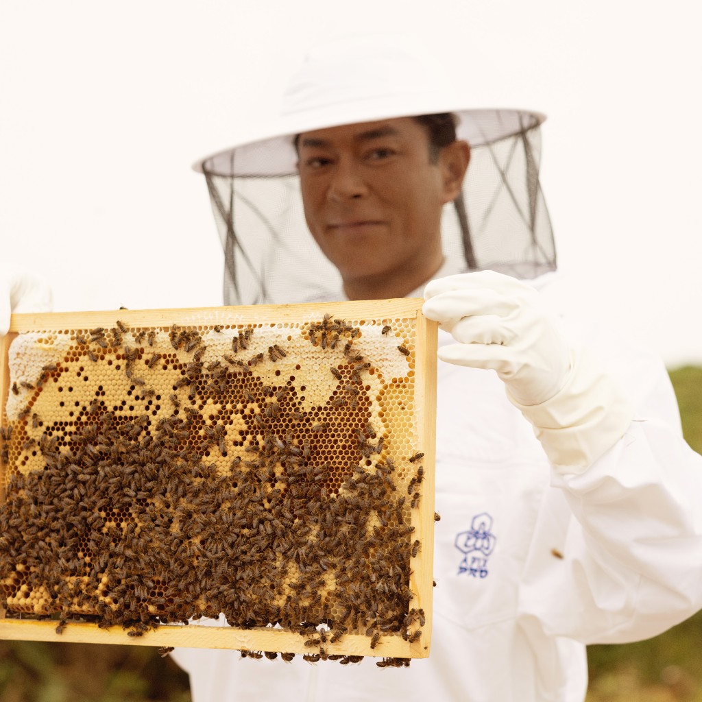 古天乐在当地专业养蜂人的带领下，体验养蜂人的日常。