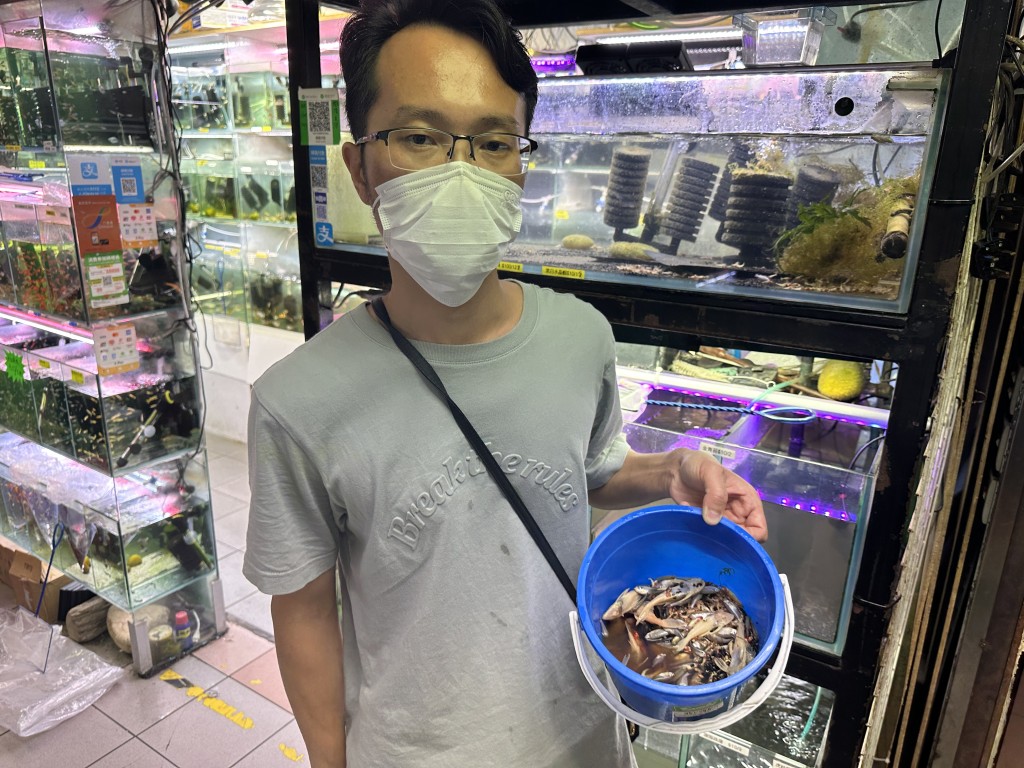 店主展示惨死的鱼虾。（梁国峰摄）