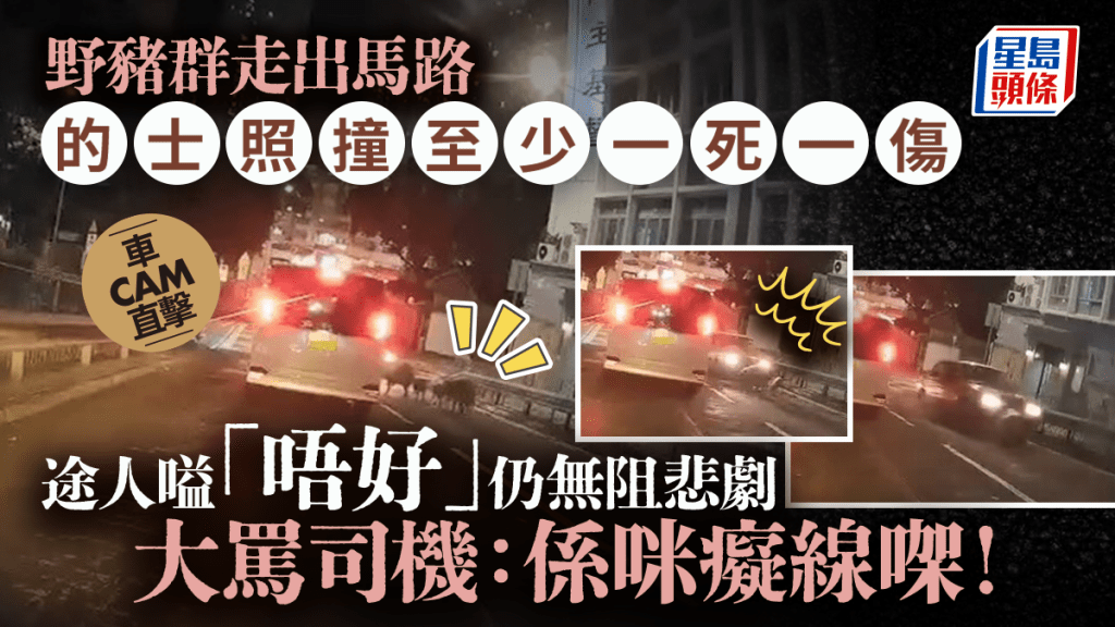 車cam直擊｜香港仔野豬家族捱的士撞 至少一死一傷 途人大叫：係咪癡線㗎