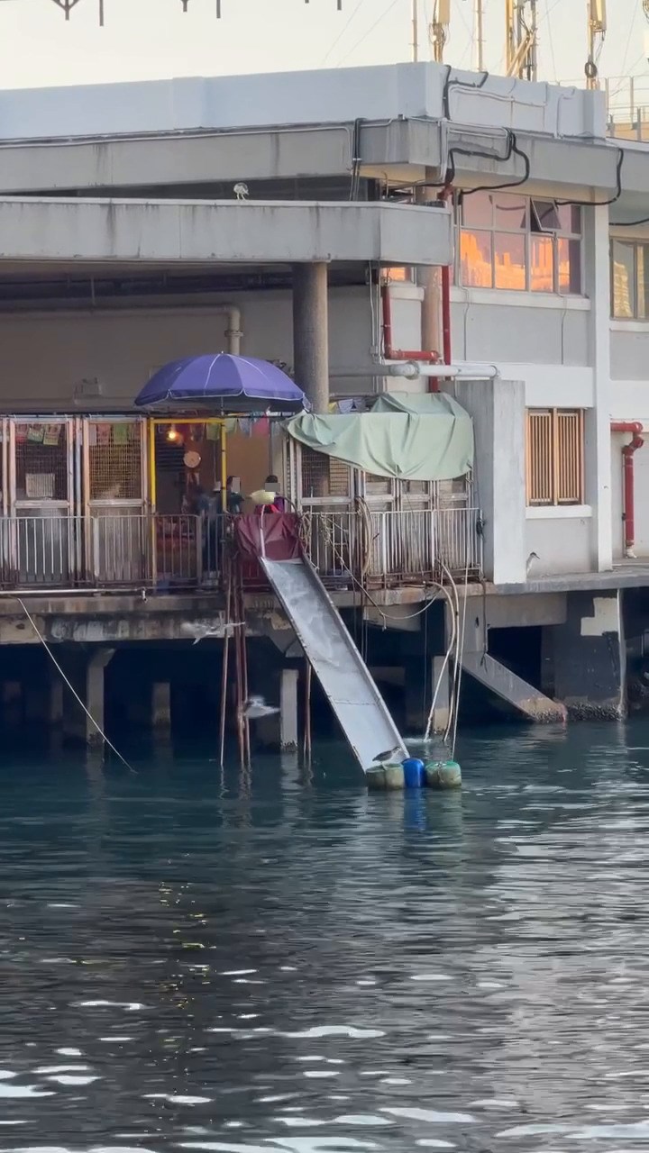 Threads截圖(資料來源:tumtumtummy_tommy@Threads) Threads截圖(資料來源:tumtumtummy_tommy@Threads)