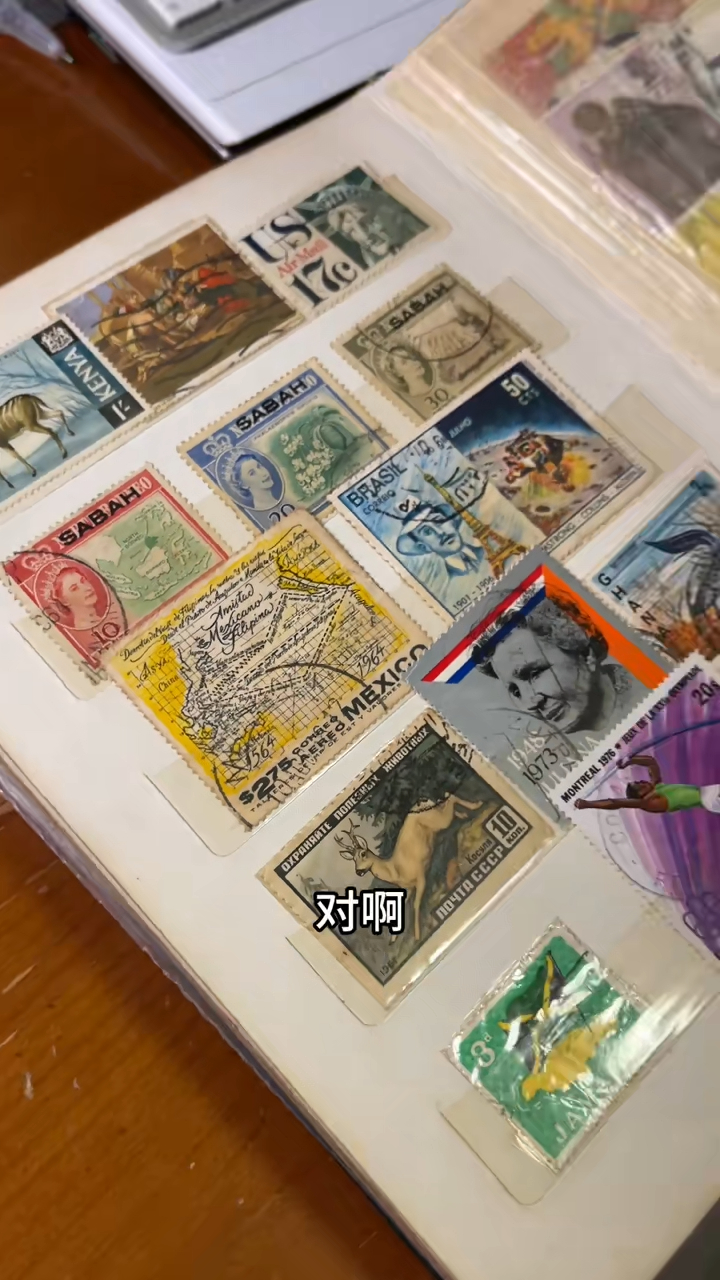 李子雄有一本邮票簿放海外邮票。