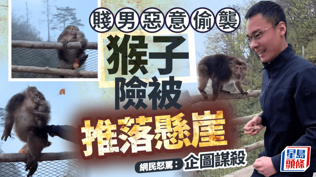 四川猴遭無品男惡意推襲險墜懸崖  網民：企圖謀殺︱有片