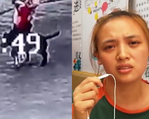 女子被狗撞跌懷中7個月大女嬰墮地多處骨折， 狗主被判賠償十萬餘元拒賠被拘，女子望討回公道。(網圖)