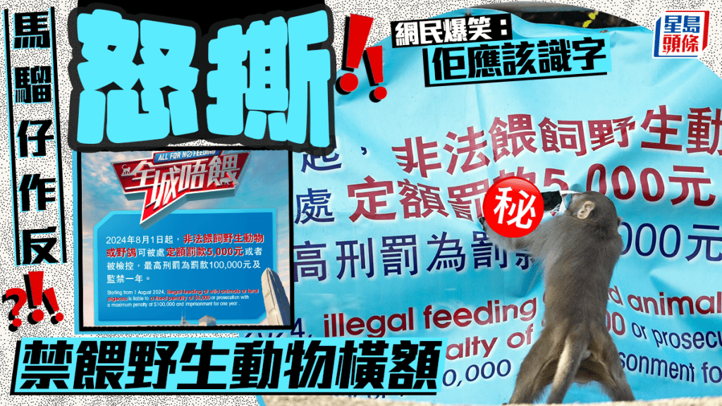 搵食艱難 馬騮仔作反? 怒撕禁餵野生動物橫額 網民爆笑:佢應該識字