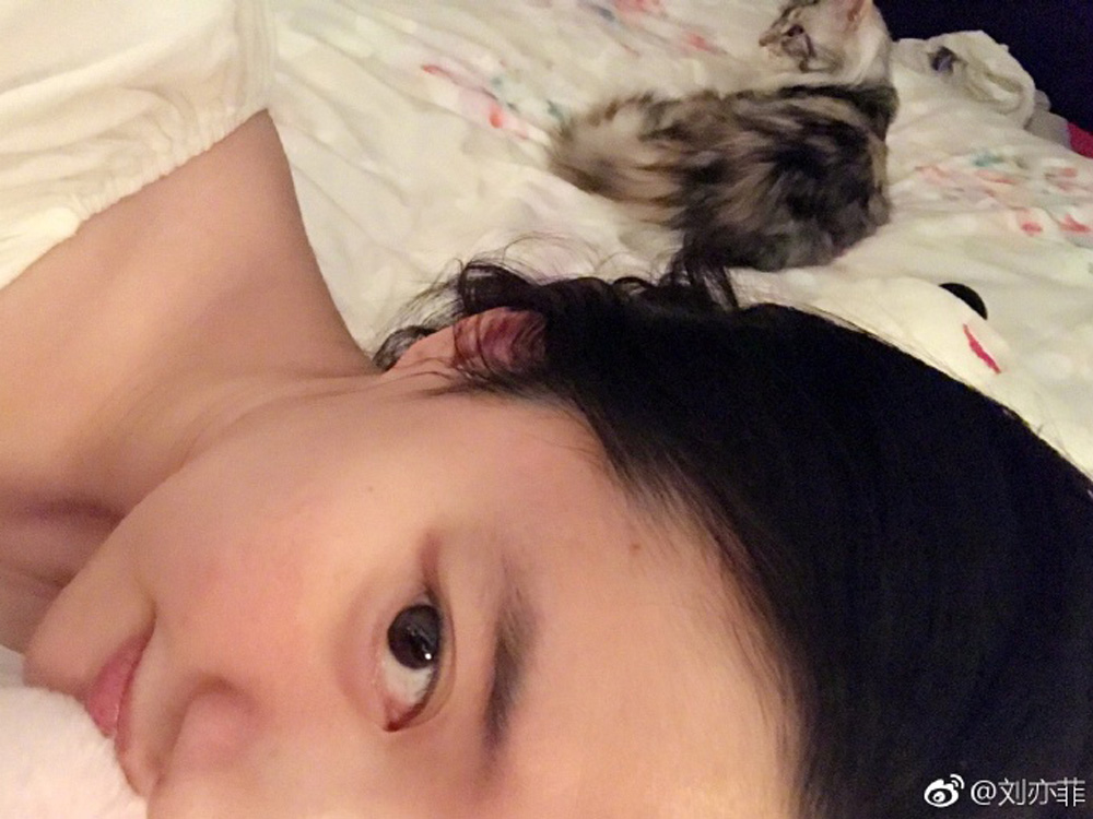 劉亦菲甫出與愛貓躺在床上的素顏照，看似心情低落。