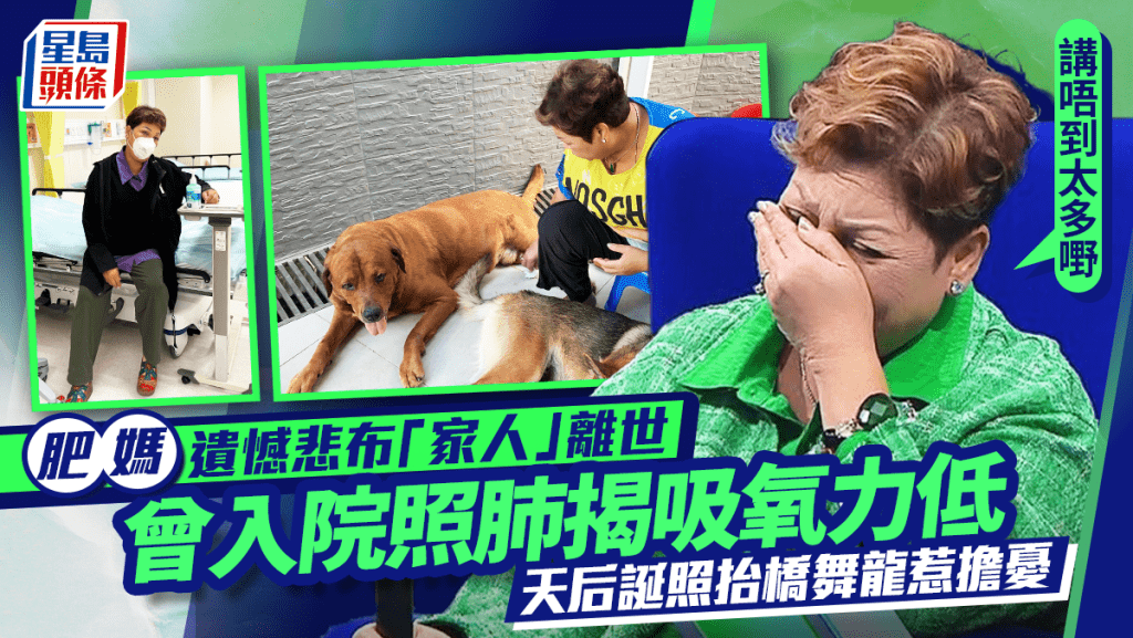 肥媽遺憾悲布「家人」離世：講唔到太多嘢  曾入院照肺揭吸氧力低  天后誕照抬橋舞龍惹擔憂