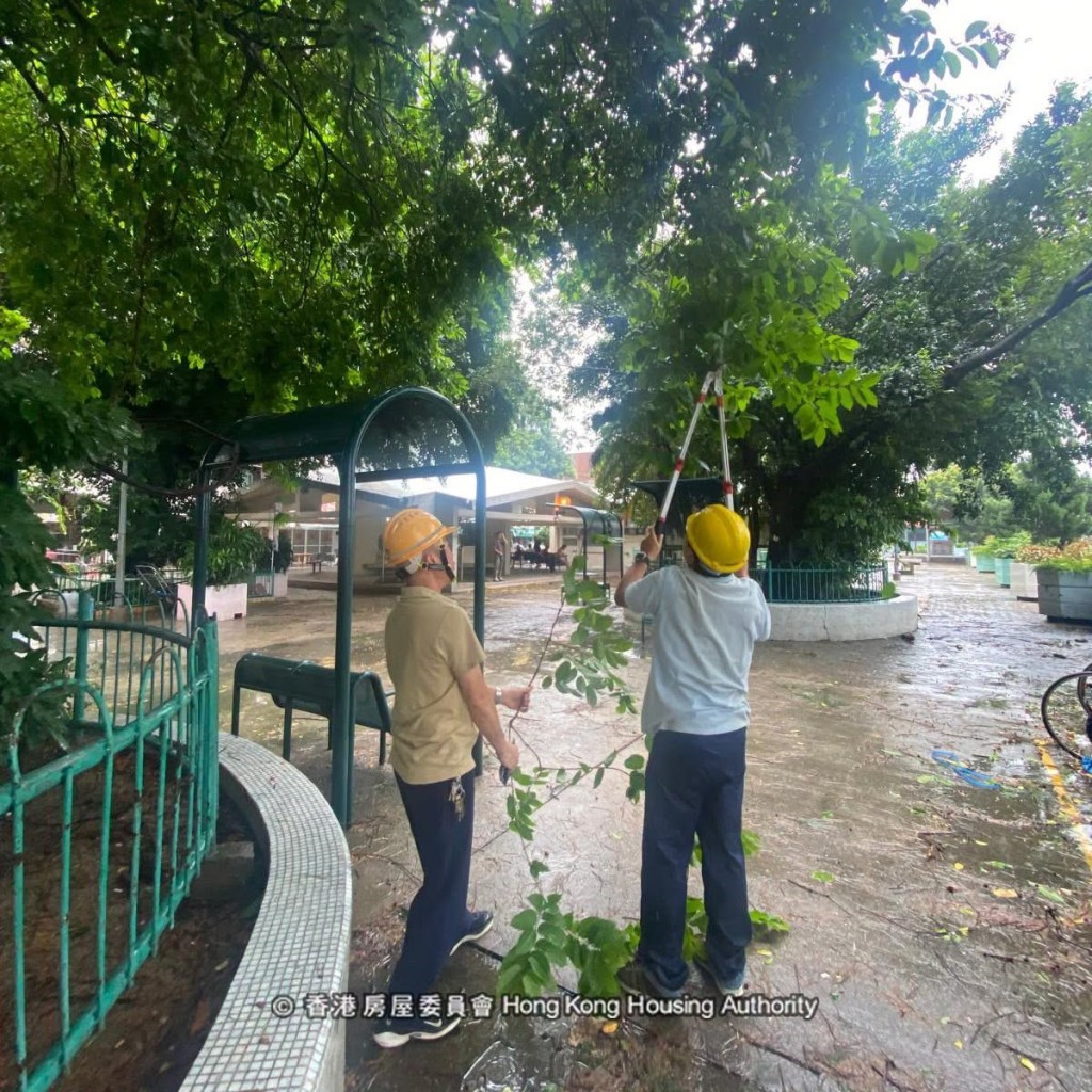 邨管團隊清理大大小小的塌樹。房委會fb