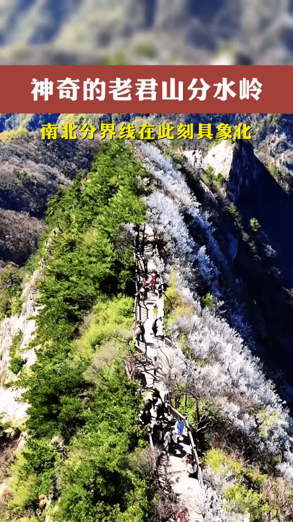 老君山「陰陽分界」再現。  老君山「陰陽分界」再現。