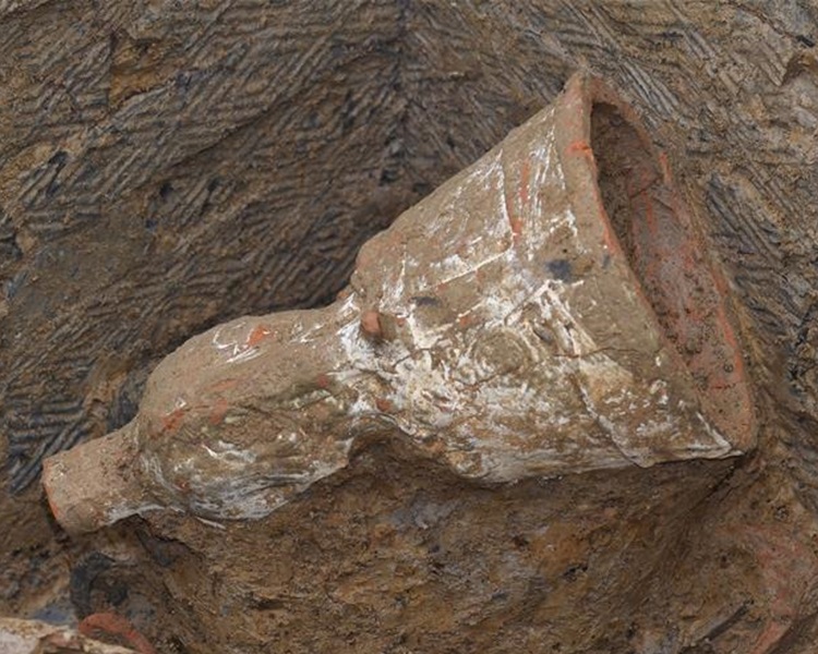 成都東漢家族墓群發現「搖錢樹」 。新華社圖片